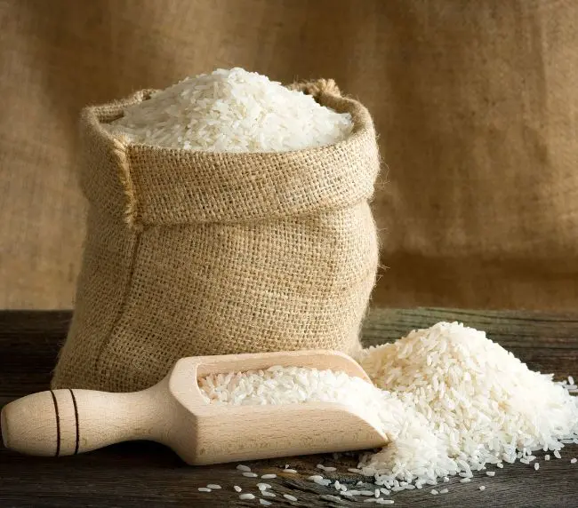 fortified rice 2